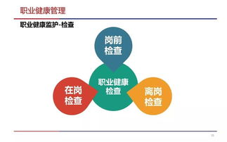 职业健康危害管理与健康管理咨询实践指南